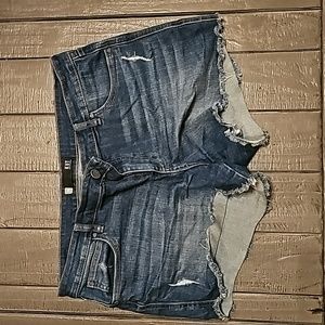 Kut from the kloth shorts